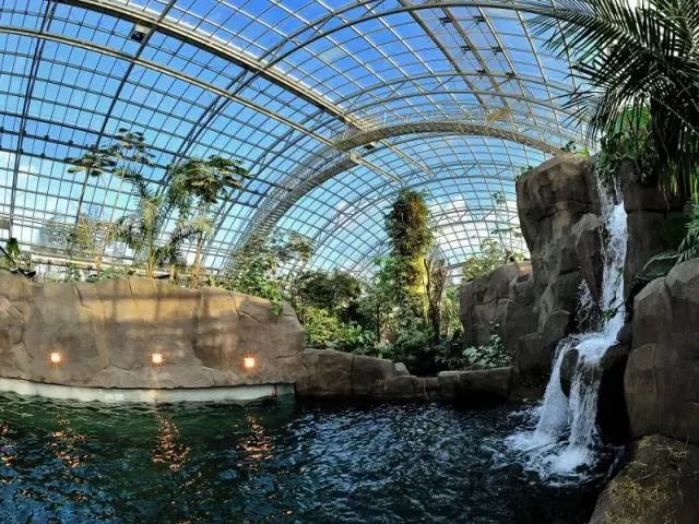 L'importance du paysage  - Serre tropicale au zoo de Vincennes