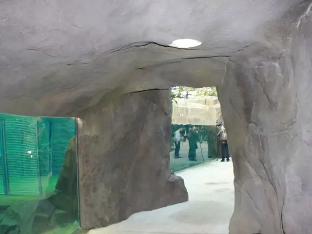 Un rocher à  l'intérieur de la serre  - Serre tropicale au zoo de Vincennes