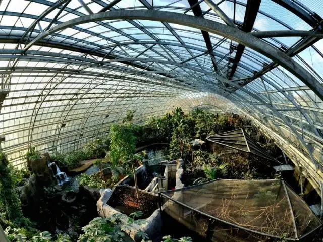 Serre tropicale au zoo de Vincennes 