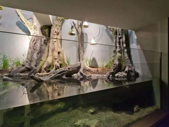 Le vivarium  - Serre tropicale au zoo de Vincennes