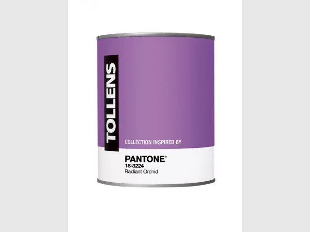 Peinture Radiant Orchid - Tollens