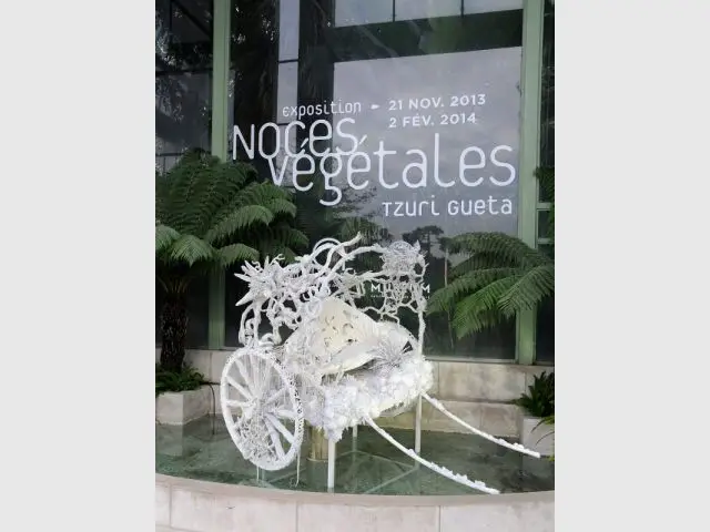 Exposition Jardin des Plantes - Noces végétales