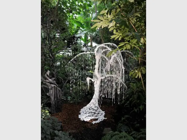 L'arbre de la mariée - Exposition Jardin des Plantes - Noces végétales