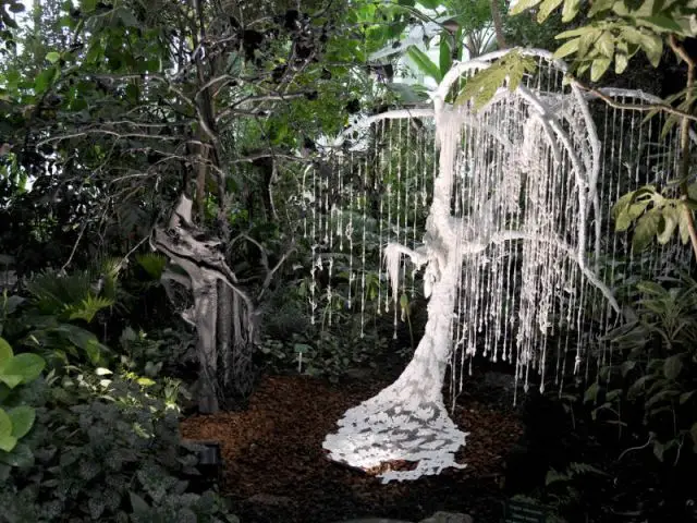 Expo Jardin des Plantes - Noces végétales