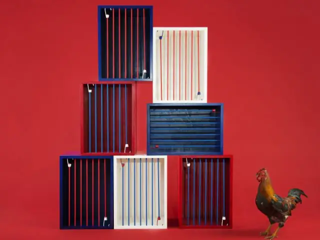 Coq Cage