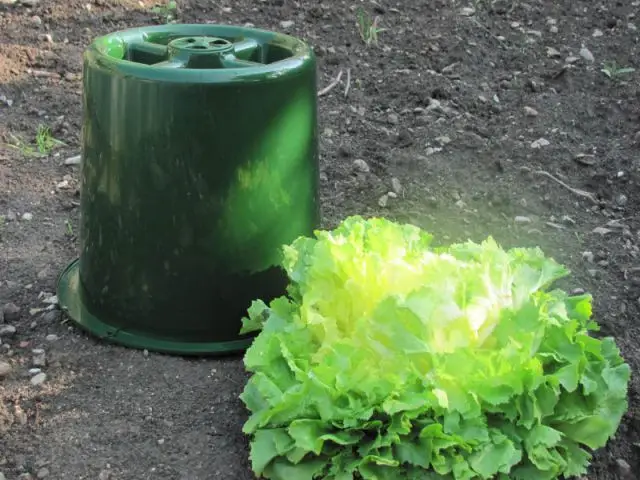 Une cloche à blanchir