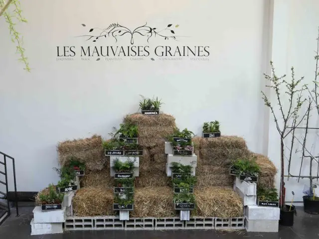 Carré potager constitué d'espèces endémiques - Concept store Merci