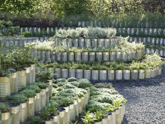 Le jardin mis en boîte  - Festival international des jardins 