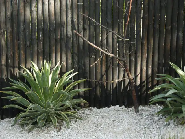 Quand l'avare rêve - Festival international des jardins 