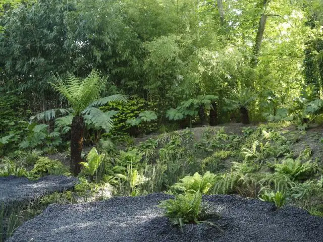 Résurection ou l'éloge de la féfaillance - Festival international des jardins 