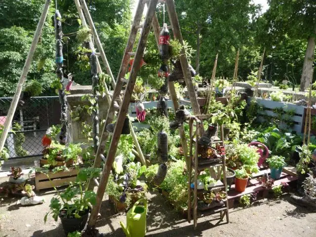 Un potager au balcon - Jardins, jardin 2014