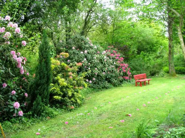 Maryvonne Picaut : Un hectare de flore et faune en liberté - Lauréat -Jardiner Autrement