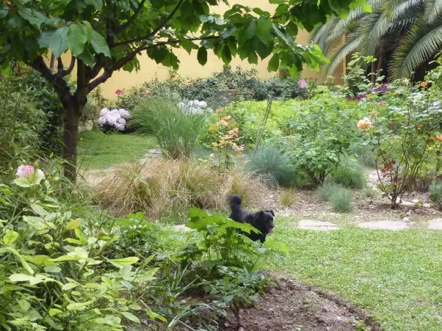 Jardin au coeur des immeubles