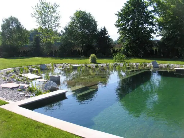 Les baignades naturelles - Bien choisir son traitement pour sa piscine