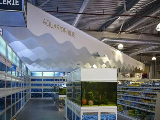 Architecture papier : un plafond dans un magasin - procédés Chénel