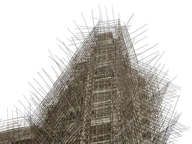 Une structure en échafaudages  - Organic Skyscraper