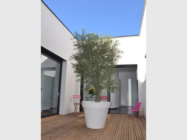 Le patio : point central de toute la maison - Maison contemporaine à Mâcon