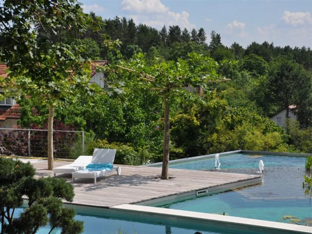 Une piscine sur le toit d'un garage 2/2 - Baignades naturelles