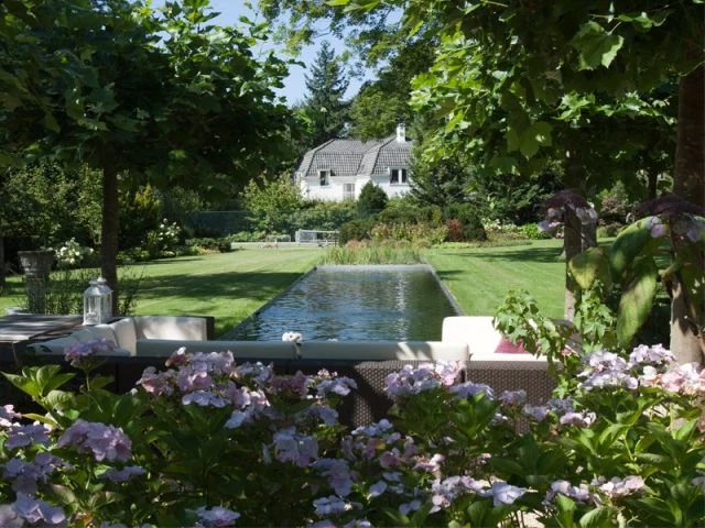 Une piscine fondue dans un jardin 2/2 - Baignades naturelles