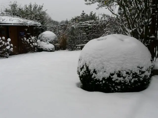 Ne pas voir systématiquement la neige comme un ennemi - Les bons réflexes face au gel