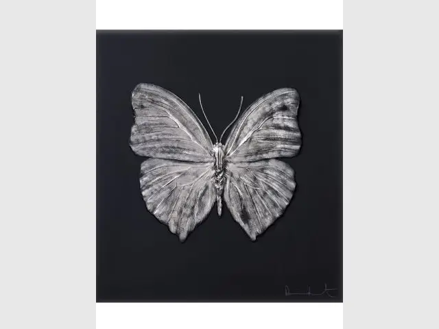 Des créations entre l'objet et l'oeuvre d'art - Damien Hirst et Lalique, 2015