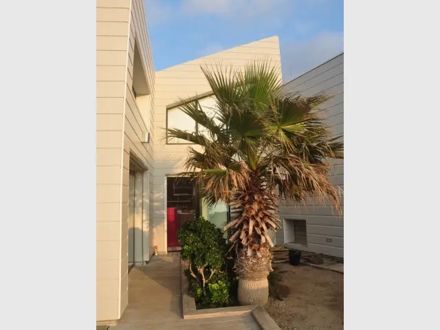 Création d'un patio comme un coin de verdure au c&oelig;ur de la roche - Une villa cachée parmi les rochers au bord de la mer