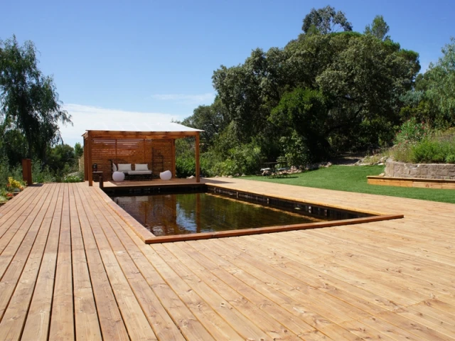 Une piscine parfaitement intégrée dans son environnement - Piscine familiale naturelle 