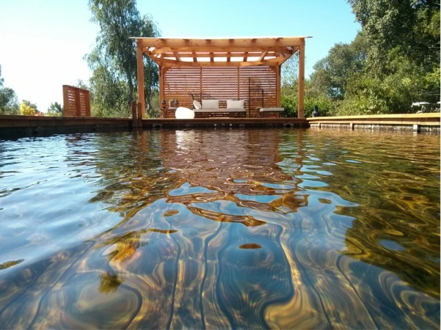 Une eau propre sans produit chimique - Piscine familiale naturelle 