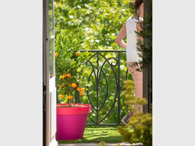 Un balcon très étroit tout vert - Mini-balcons