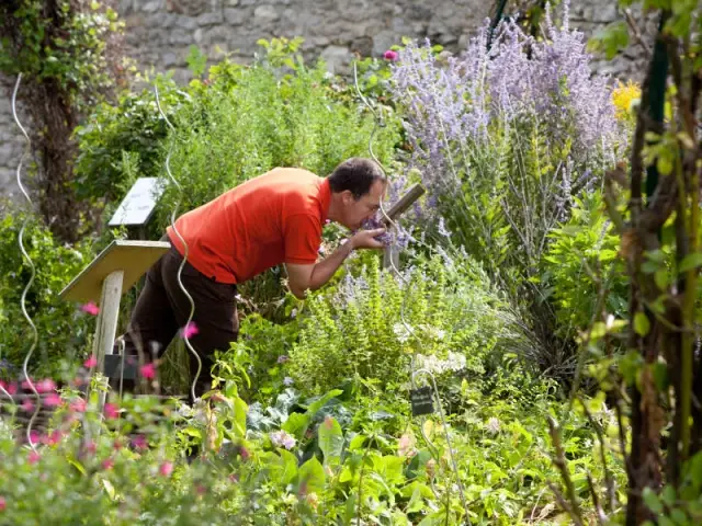 Un visiteur au Jardin de Gally