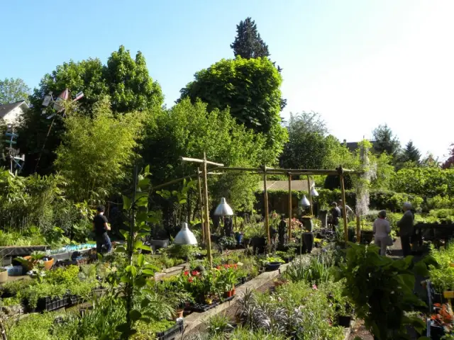 Jardinerie de curiosités Taffin à Montmorency