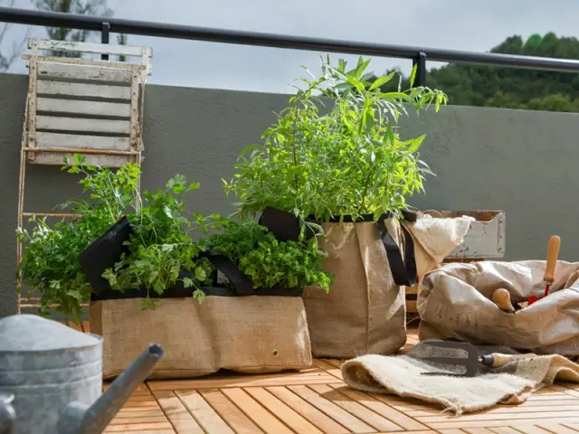 Une disposition à même le sol pour un effet champêtre - Balcons : donnez du rythme grâce aux jardinières !