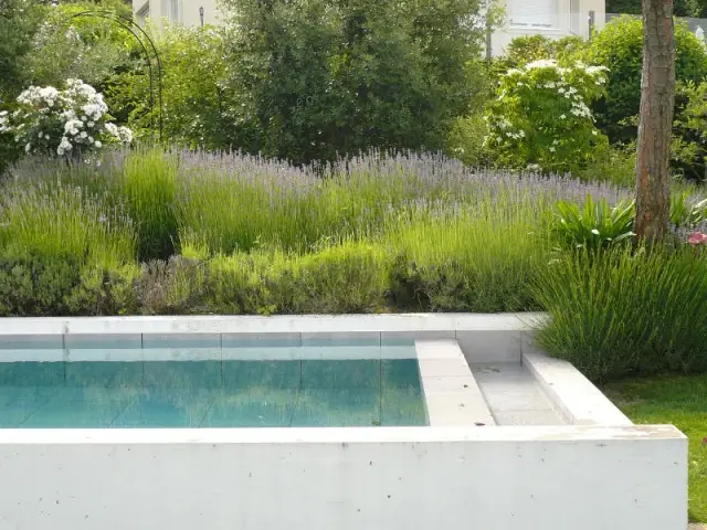 Une végétation méditerranéenne dépaysante - Jardin stratifié 