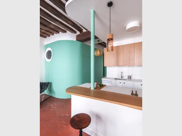 Un appartement aux couleurs naturelles - Appartement parisien atypique avec jardin