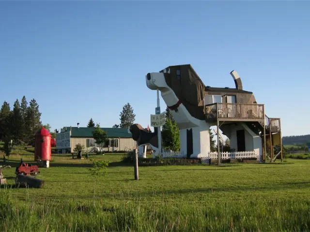 L'architecture mimétique dans toute sa splendeur - Une maison en forme de chien