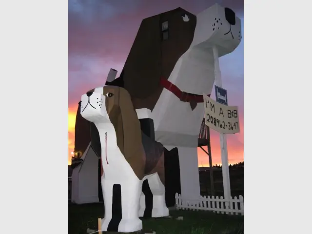 Une sculpture et une habitation - Une maison en forme de chien