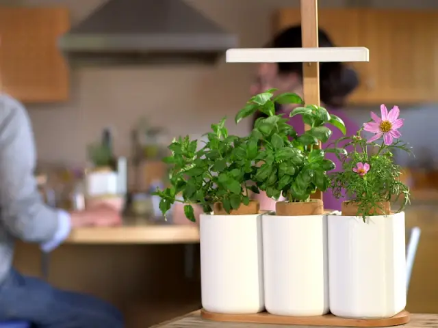 Lilo, le potager d'intérieur avec gestion des nutriments