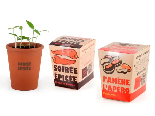 Un kit de jardinage étonnant pour 6 &euro; - Cadeaux de dernière minute à moins de 10 &euro;