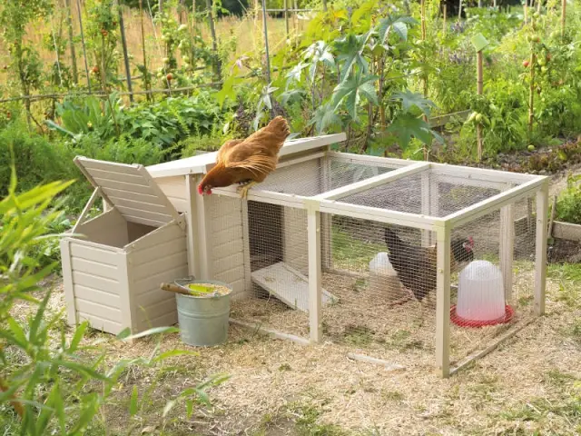 Un poulailler dans mon jardin