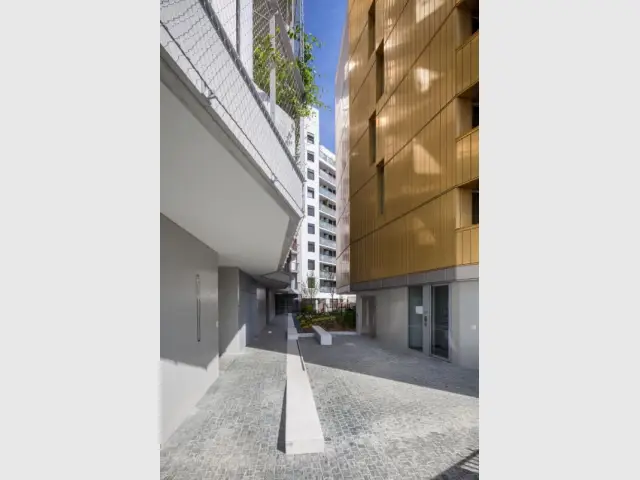 Flat Copper : un jardin planté au sol et en façade - Flat Copper - Badia Berger architectes