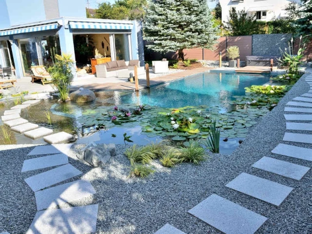 Des pas japonais pour une piscine zen  - Une piscine naturelle en Alsace