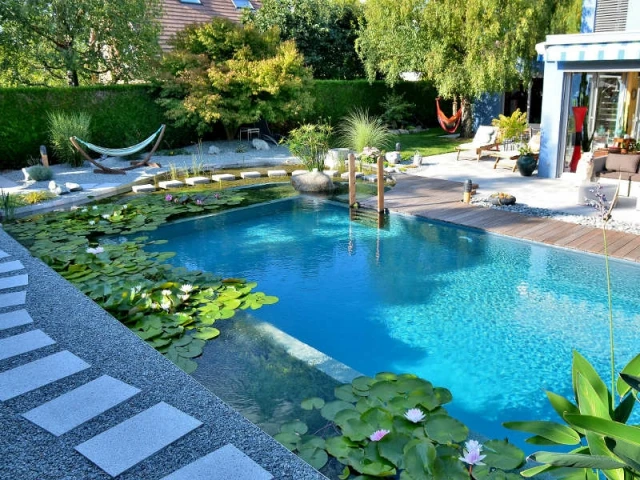 Un entretien plus contraignant pour un bassin naturel - Une piscine naturelle en Alsace