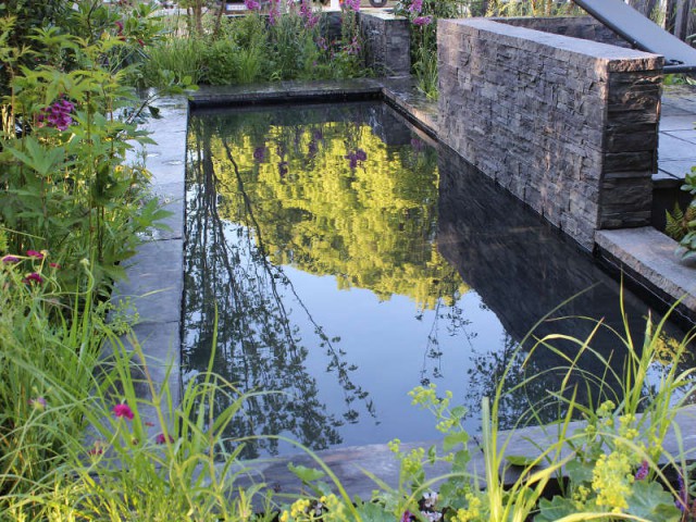 Plantes aquatiques pour bassin de jardin - Côté Maison