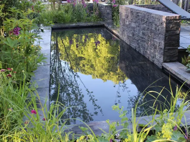 Un bassin fondu dans la végétation pour un jardin sauvage - Un bassin esthétique pour mon jardin