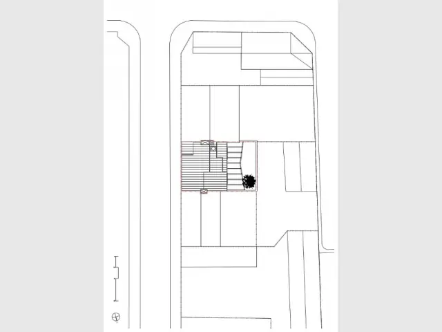 Un acacia au coeur d'une maison pour soutenir la surélévation - Maison PJ à Nantes