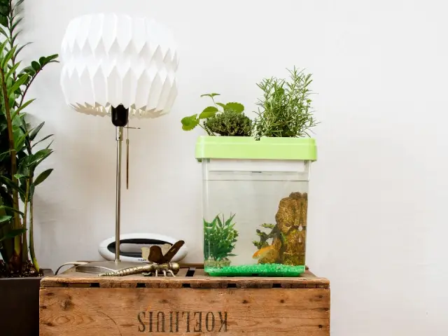 Ozarium, l'aquarium avec potager intégré