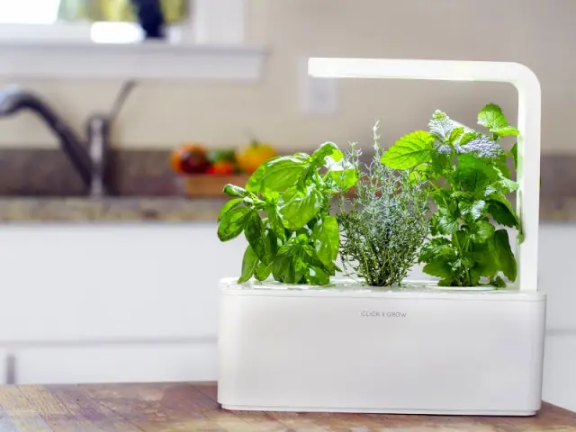 SmartHerbGarden, le potager d'intérieur avec cartouches à clipser