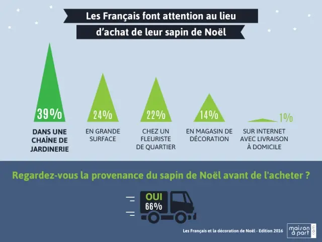 Les Français ne choisissent pas leur sapin de Noël à la légère