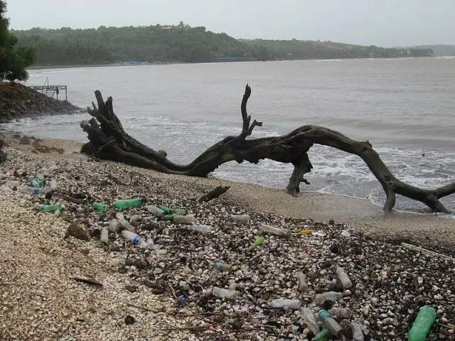 Pollution plastique