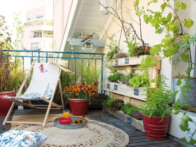 Cultiver sur son balcon 